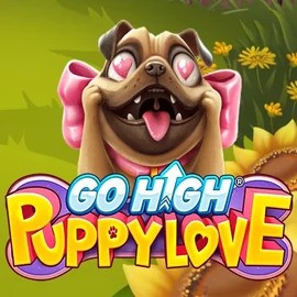 Play the Go High Puppy Love slot by RubyPlay on Kingmaker Casino